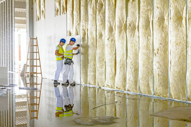 Soundproof Insulation Installation in Panacea, FL